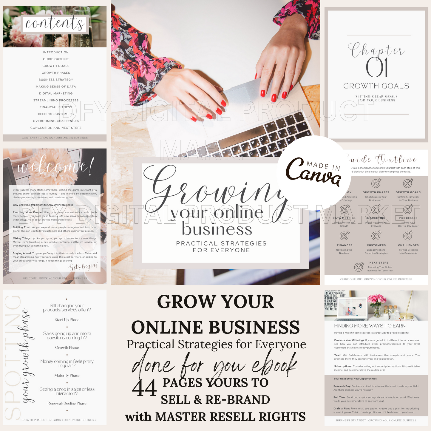 How To Grow Your Online Business eBook with MRR/PLR