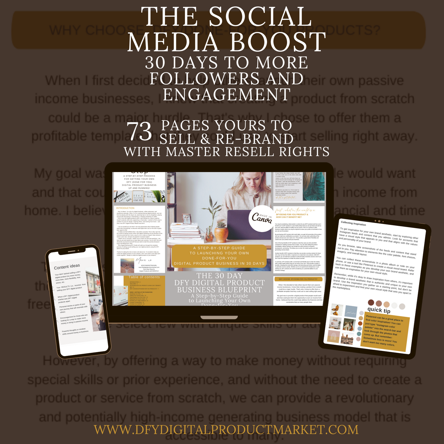 The 30 day DFY Digital Product Business Blueprint - Launch Your DFY Digital Business In 30 Days