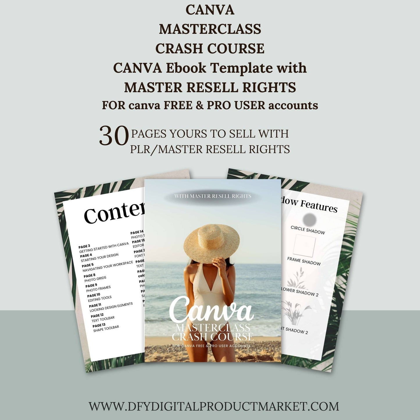 Canva Masterclass Crash Course with Master Resell Rights/PLR EBOOK