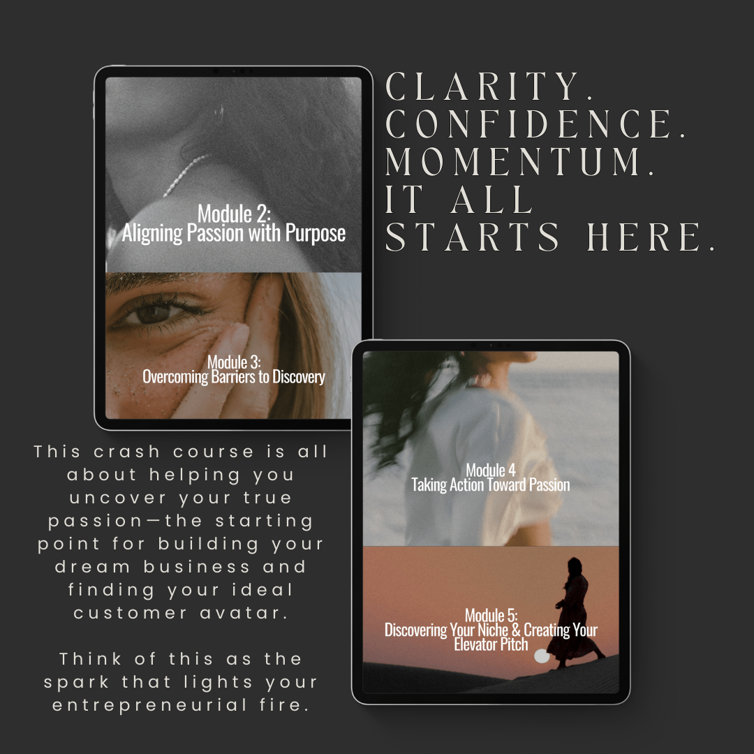 Finding Your Vision & Passion Crash Course