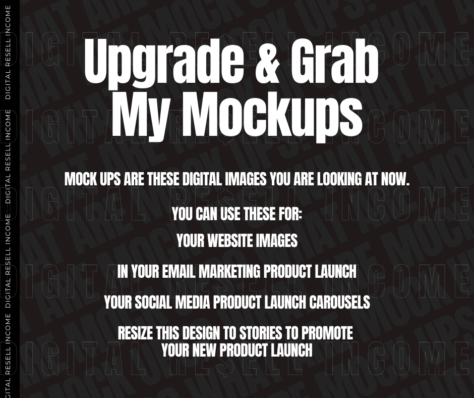 Womanpreneur Mindset for Success e-Book with MRR / PLR